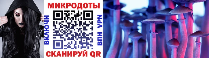 Псилоцибиновые грибы Psilocybe  купить наркотики цена  Чапаевск 